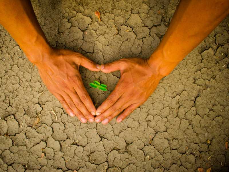  🌱環球晶綠色轉型雙軌策略大解析：提前10年達成100%再生能源目標 