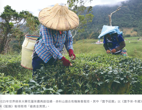 花蓮與農共好 邁向永續城市