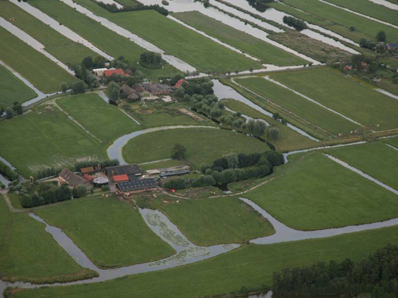  🏭 農地工廠的生死關頭：合法化解密與不動產投資的潛在機遇 