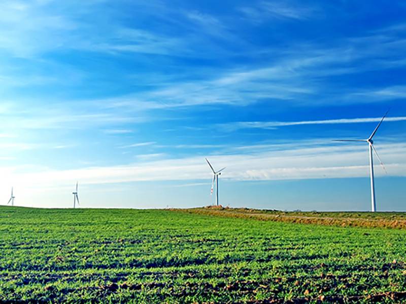 🏭 農地工廠的生死關頭：合法化解密與不動產投資的潛在機遇
