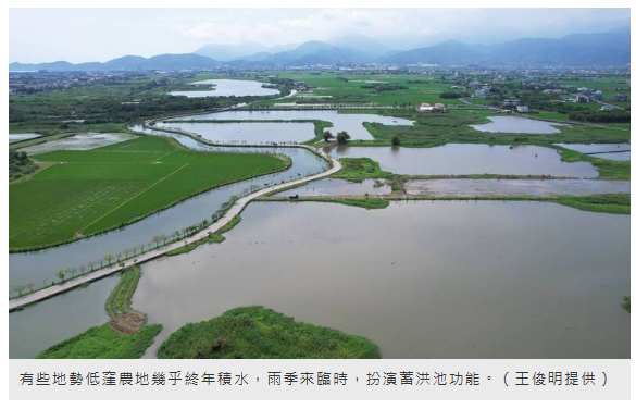  春天來臨！宜蘭版水鄉澤國空拍視角 五十二甲濕地美景曝光 