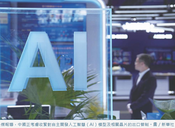 AI模型使用 陸擬祭分級審查