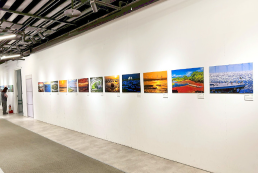 保護濕地 擬定6年24億白皮書