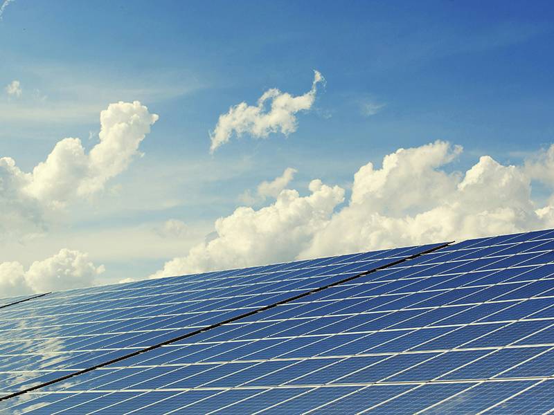  農地種電大解密：政策、風險、與未來展望的全方位解析 