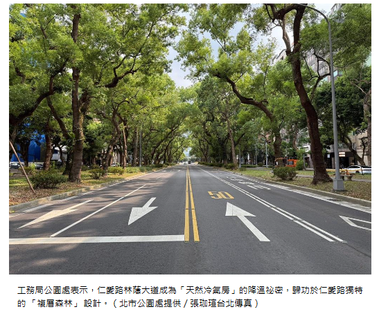  台北市仁愛路有感降溫3°C 「天然冷氣房」真相大公開 