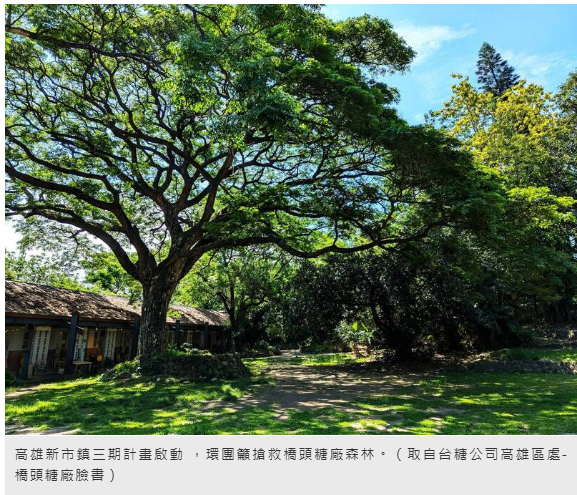 上百公頃森林恐消失!高雄新市鎮3期計畫啟動 環團籲搶救橋頭糖廠