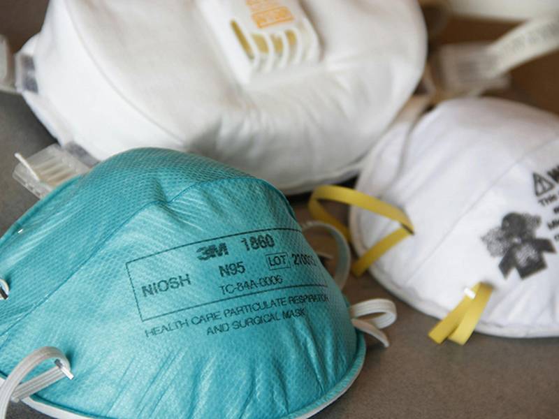 北市漢他病毒奪命 王欣儀籲恢復全市滅鼠週