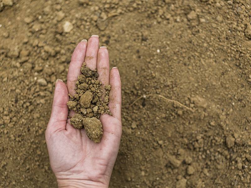  中工拚了 陶朱隱園全年要賣三戶 