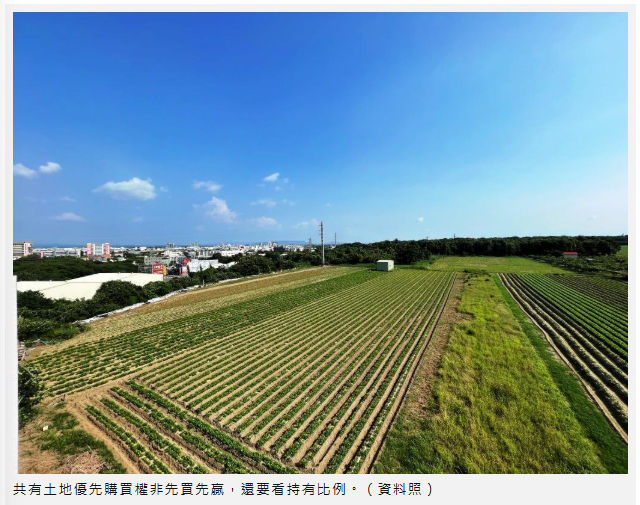  共有土地優先購買「先喊就贏」？地政士曝：先聲奪人反「為人作嫁」 