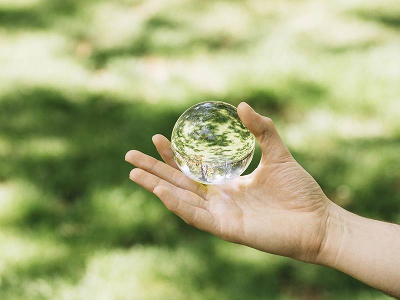  「碳匯・低碳・淨零綠生活」研討會登場 內政部：積極實現生物多樣性保育與減碳增匯雙贏目標 