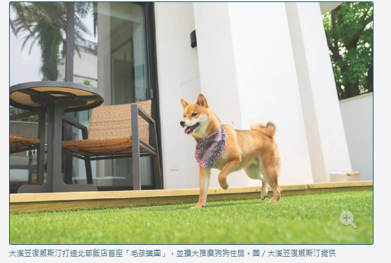 人寵共旅成趨勢…毛孩經濟夯 觀光飯店搶賺住房商機