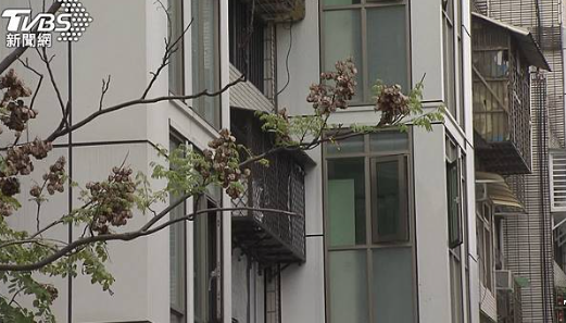「整排電梯」在信義區！老屋增建達共識　網讚居民好合群